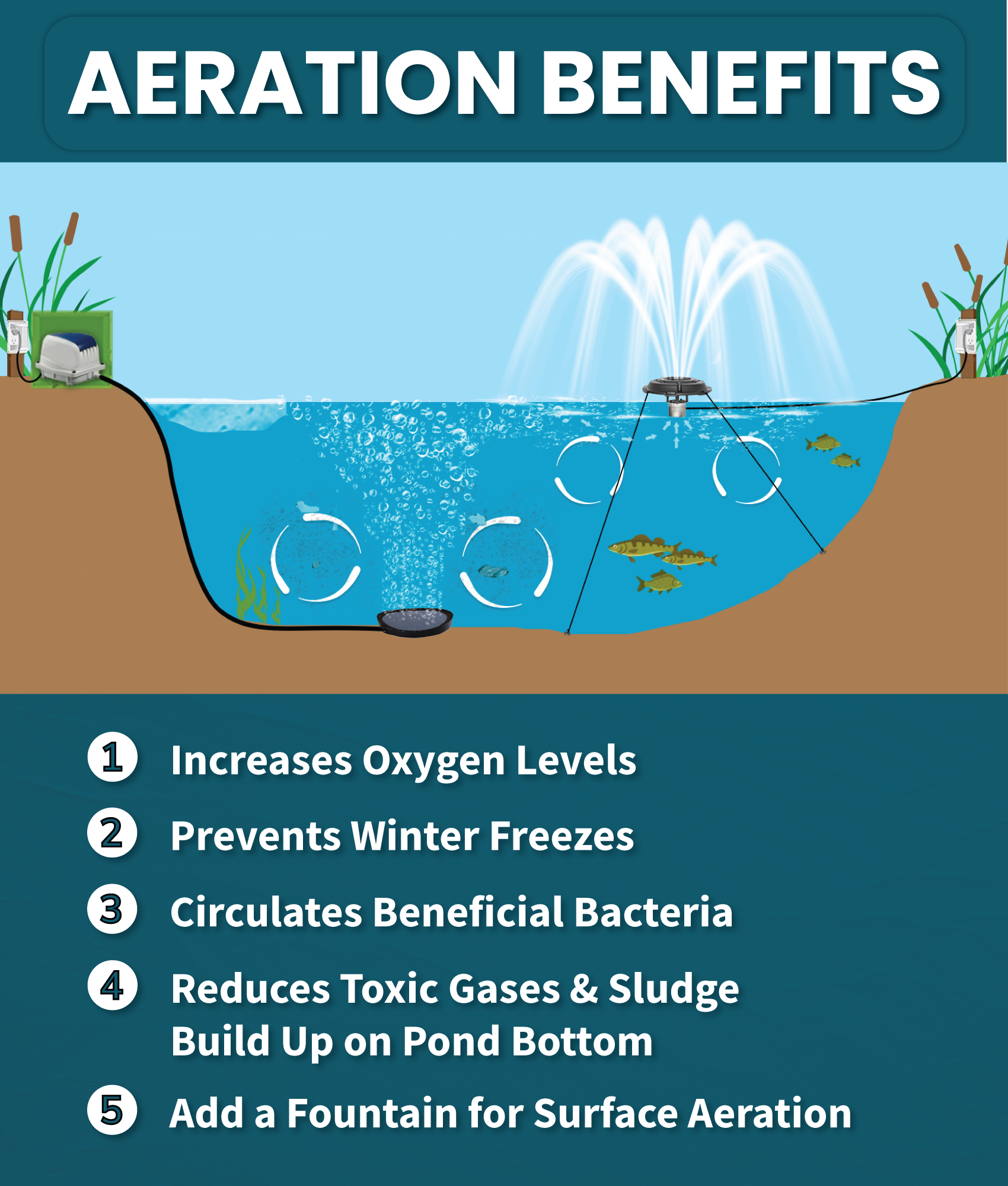 benefits-aeration2 (2).png
